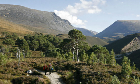  Rothiemurchus Estate in the Cairngorms National Park, Scotland