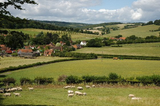 Fingest Valley, The Chilterns - Area of Outstanding Natural Beauty, Bucks