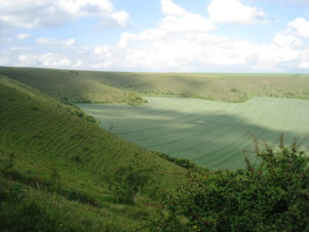 Whitesheet Hill, Wiltshire, England