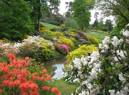 Leonardslee Gardens, Handcross, West Sussex, High Weald AONB