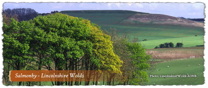 Salmonby - Lincolnshire Wolds AONB, Lincs, England