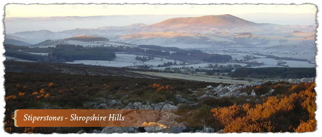 Stiperstones, Shropshire Hills AONB, West Midlands, England