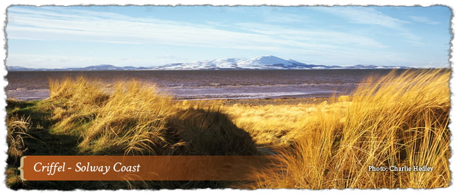 Criffel, Solway Coast AONB, Cumbria, England